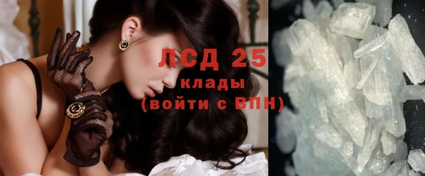 стаф Белокуриха