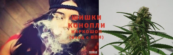 Альфа ПВП Сосновый Бор