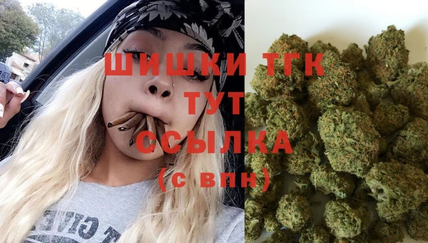 соль ск Богородицк