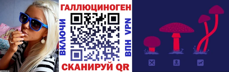 купить  сайты  Верещагино  Псилоцибиновые грибы Magic Shrooms 